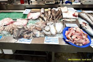 0513 Porto Matosinhos